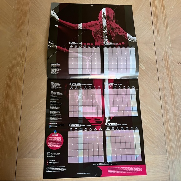 TAYLOR SWIFT 2014 Wall Calendar - Picture 3 of 15